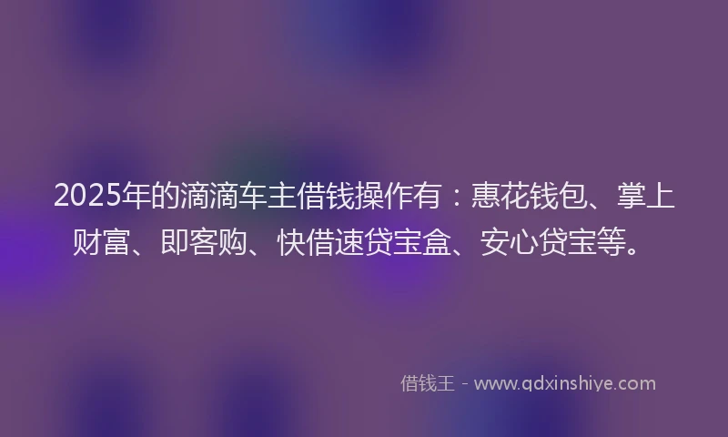 2025年的滴滴车主借钱操作有：惠花钱包、掌上财富、即客购、快借速贷宝盒、安心贷宝等。