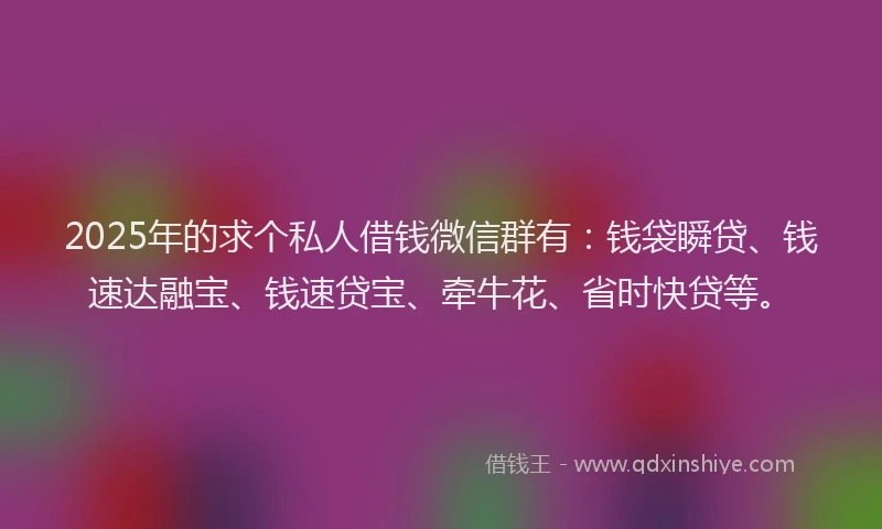 2025年的求个私人借钱微信群有：钱袋瞬贷、钱速达融宝、钱速贷宝、牵牛花、省时快贷等。