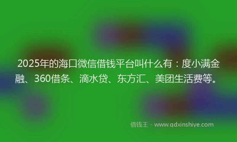 2025年的海口微信借钱平台叫什么有：度小满金融、360借条、滴水贷、东方汇、美团生活费等。