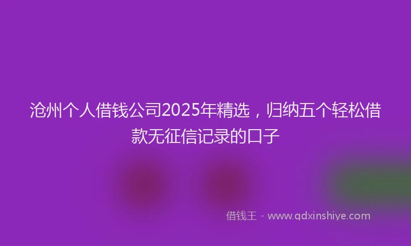 沧州个人借钱公司2025年精选，归纳五个轻松借款无征信记录的口子