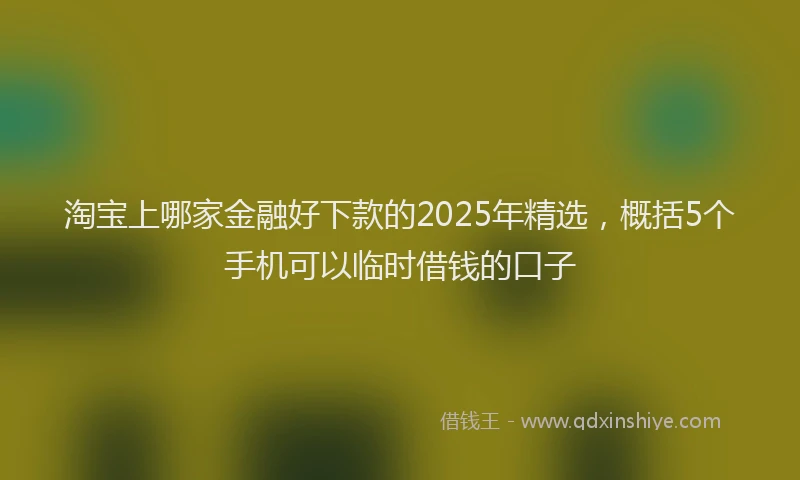 淘宝上哪家金融好下款的2025年精选，概括5个手机可以临时借钱的口子