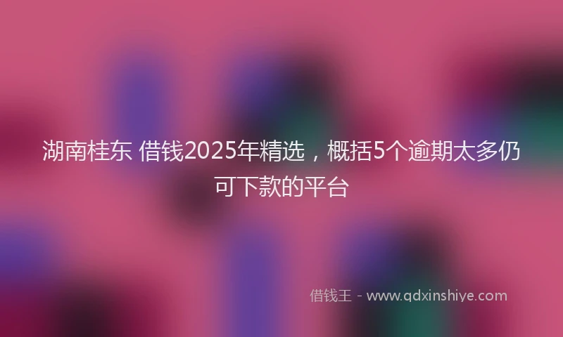 湖南桂东 借钱2025年精选，概括5个逾期太多仍可下款的平台