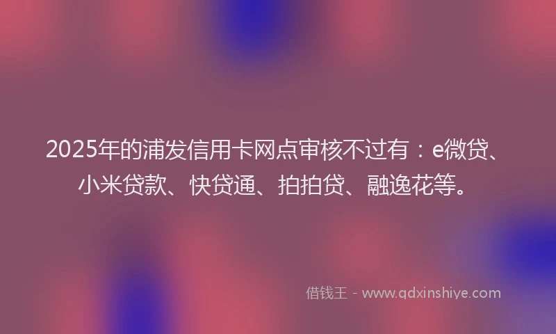 2025年的浦发信用卡网点审核不过有：e微贷、小米贷款、快贷通、拍拍贷、融逸花等。