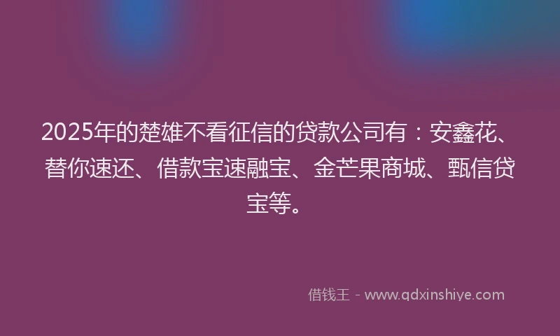 2025年的楚雄不看征信的贷款公司有：安鑫花、替你速还、借款宝速融宝、金芒果商城、甄信贷宝等。