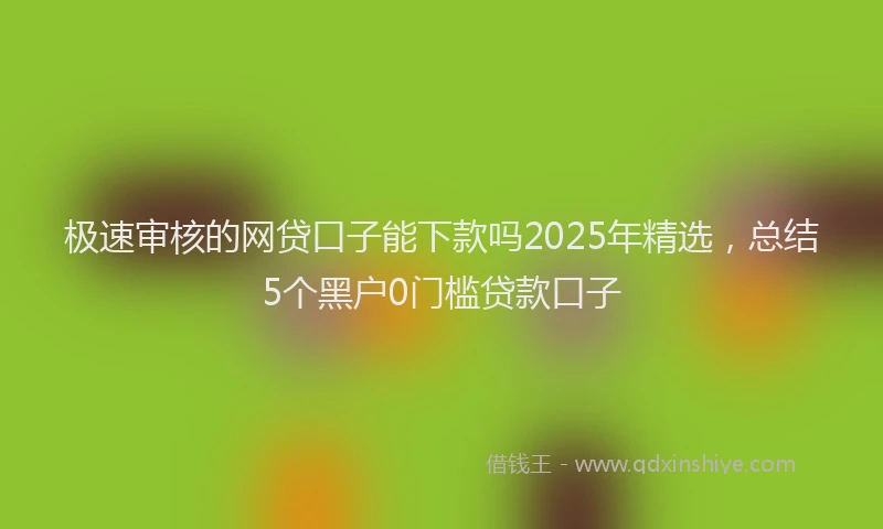 极速审核的网贷口子能下款吗2025年精选，总结5个黑户0门槛贷款口子