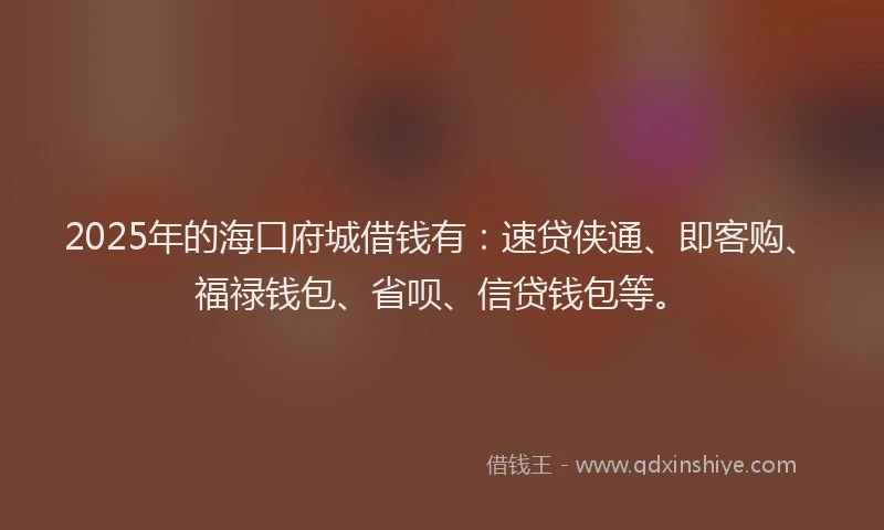 2025年的海口府城借钱有：速贷侠通、即客购、福禄钱包、省呗、信贷钱包等。