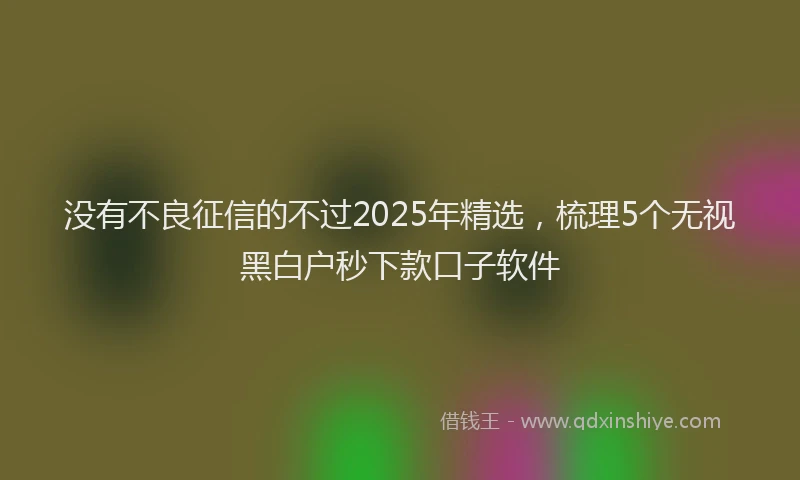 没有不良征信的不过2025年精选，梳理5个无视黑白户秒下款口子软件