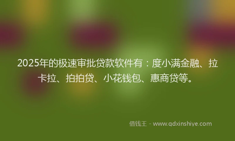 2025年的极速审批贷款软件有：度小满金融、拉卡拉、拍拍贷、小花钱包、惠商贷等。
