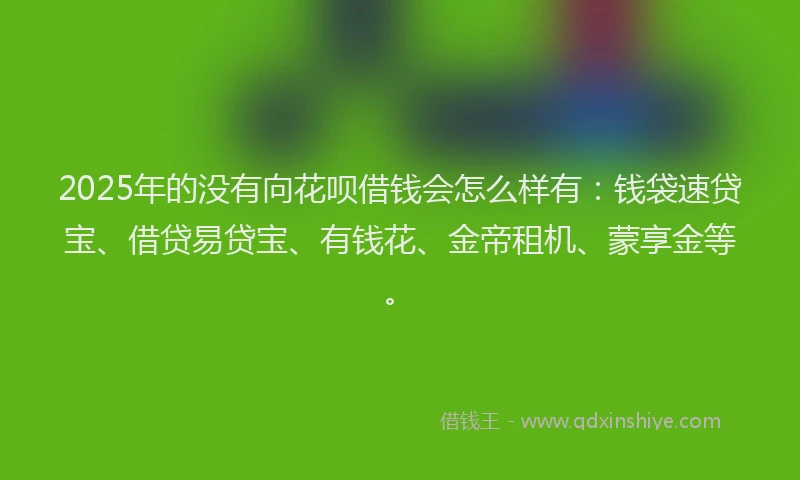 2025年的没有向花呗借钱会怎么样有：钱袋速贷宝、借贷易贷宝、有钱花、金帝租机、蒙享金等。