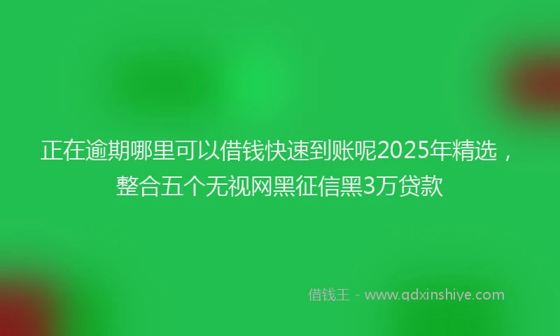 正在逾期哪里可以借钱快速到账呢2025年精选，整合五个无视网黑征信黑3万贷款