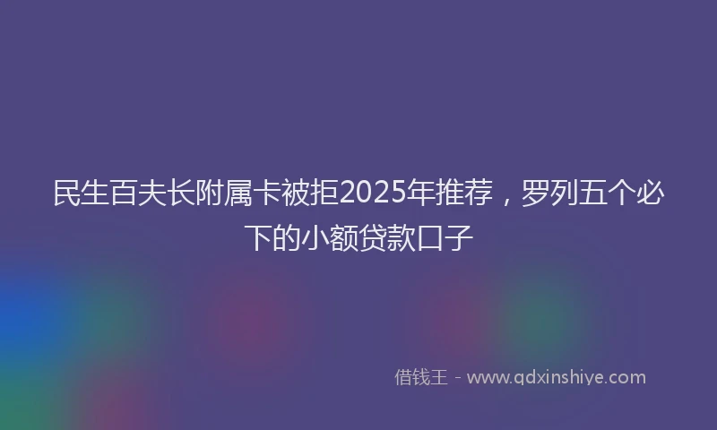 民生百夫长附属卡被拒2025年推荐，罗列五个必下的小额贷款口子