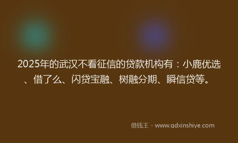 2025年的武汉不看征信的贷款机构有：小鹿优选、借了么、闪贷宝融、树融分期、瞬信贷等。