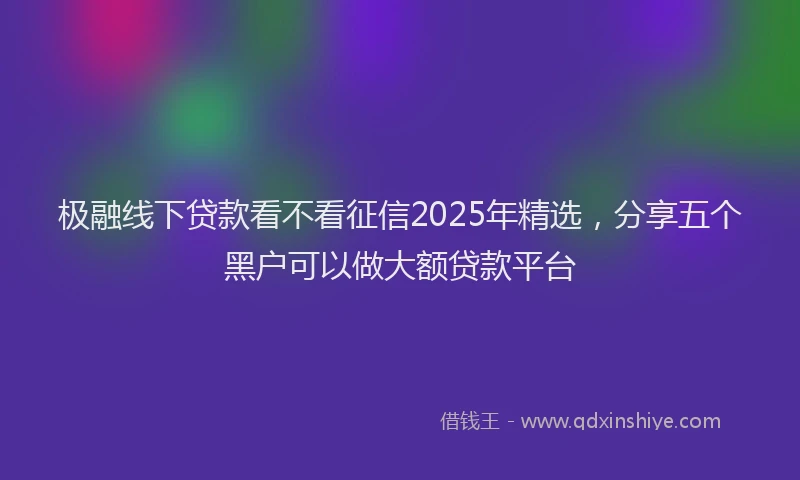 极融线下贷款看不看征信2025年精选，分享五个黑户可以做大额贷款平台