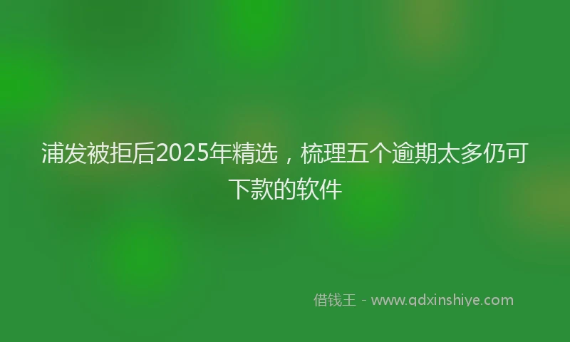 浦发被拒后2025年精选，梳理五个逾期太多仍可下款的软件