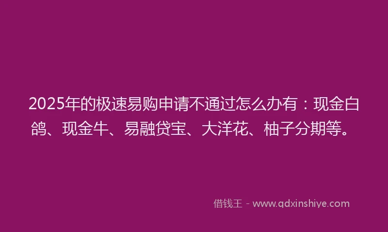 2025年的极速易购申请不通过怎么办有：现金白鸽、现金牛、易融贷宝、大洋花、柚子分期等。