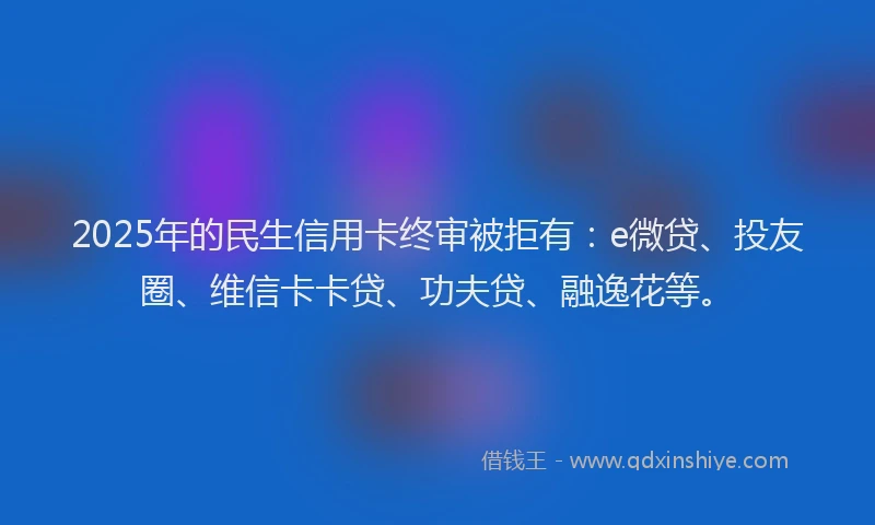 2025年的民生信用卡终审被拒有：e微贷、投友圈、维信卡卡贷、功夫贷、融逸花等。