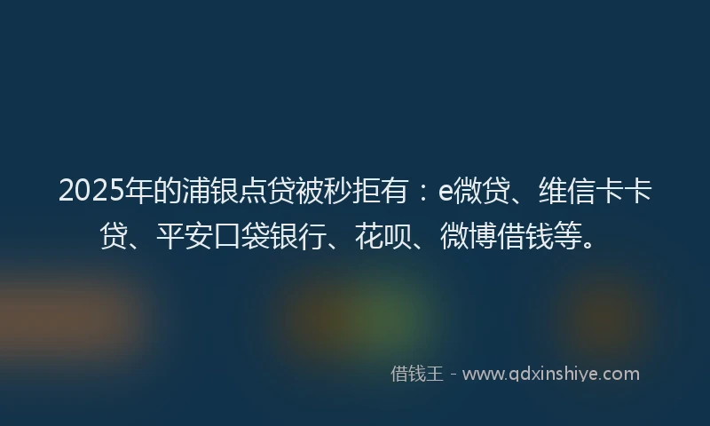 2025年的浦银点贷被秒拒有：e微贷、维信卡卡贷、平安口袋银行、花呗、微博借钱等。