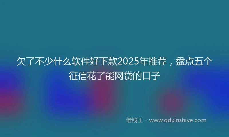 欠了不少什么软件好下款2025年推荐，盘点五个征信花了能网贷的口子