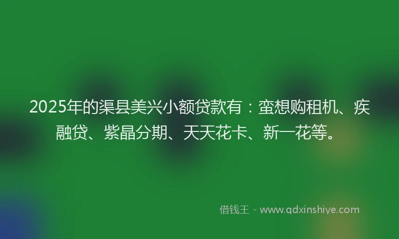 2025年的渠县美兴小额贷款有：蛮想购租机、疾融贷、紫晶分期、天天花卡、新一花等。