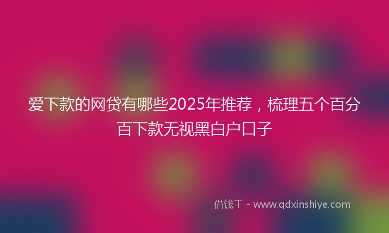 爱下款的网贷有哪些2025年推荐，梳理五个百分百下款无视黑白户口子