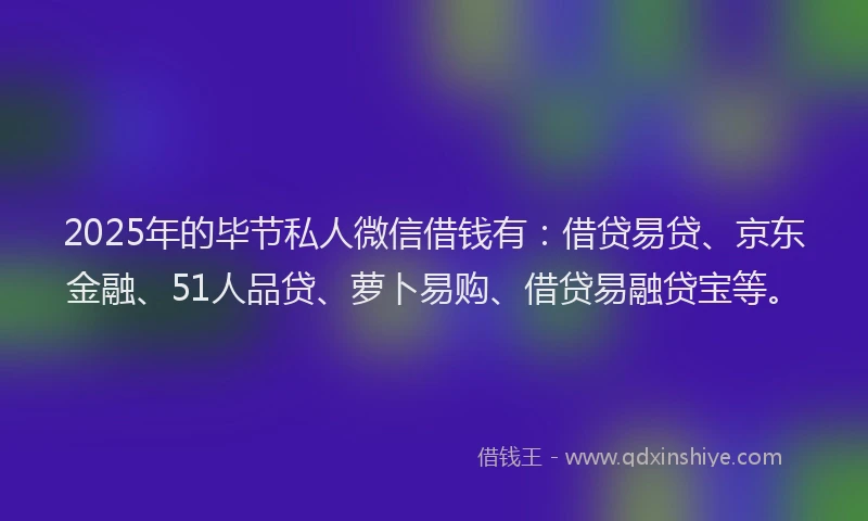 2025年的毕节私人微信借钱有：借贷易贷、京东金融、51人品贷、萝卜易购、借贷易融贷宝等。