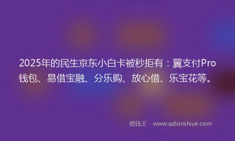 2025年的民生京东小白卡被秒拒有：翼支付Pro钱包、易借宝融、分乐购、放心借、乐宝花等。