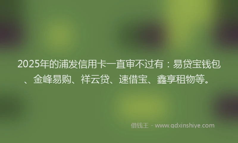 2025年的浦发信用卡一直审不过有：易贷宝钱包、金峰易购、祥云贷、速借宝、鑫享租物等。