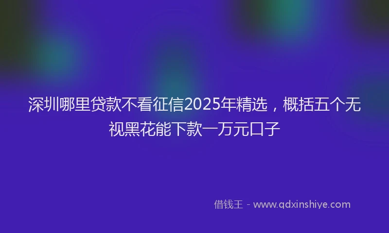 深圳哪里贷款不看征信2025年精选，概括五个无视黑花能下款一万元口子