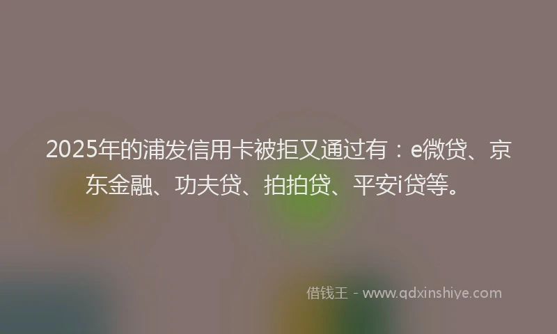 2025年的浦发信用卡被拒又通过有：e微贷、京东金融、功夫贷、拍拍贷、平安i贷等。