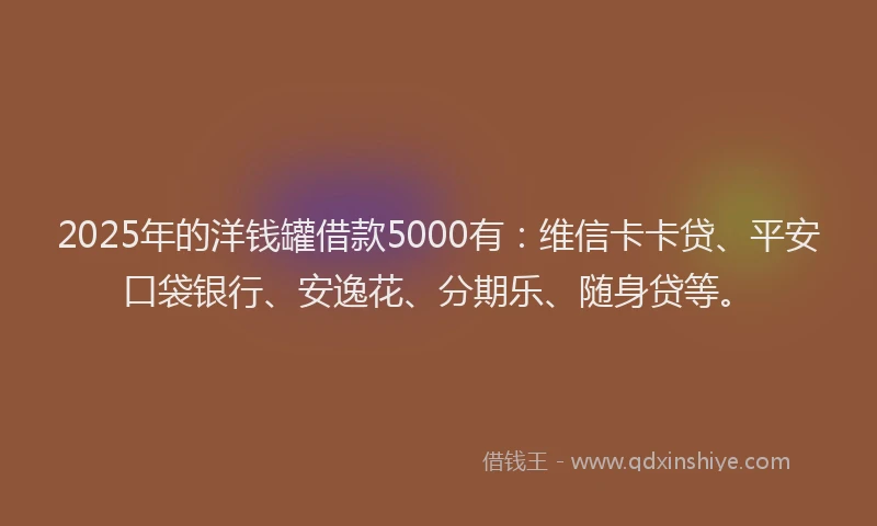 2025年的洋钱罐借款5000有：维信卡卡贷、平安口袋银行、安逸花、分期乐、随身贷等。