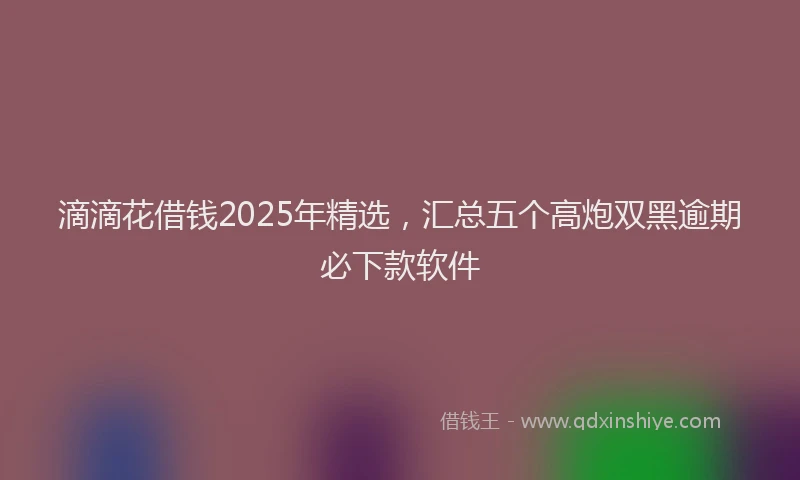 滴滴花借钱2025年精选，汇总五个高炮双黑逾期必下款软件