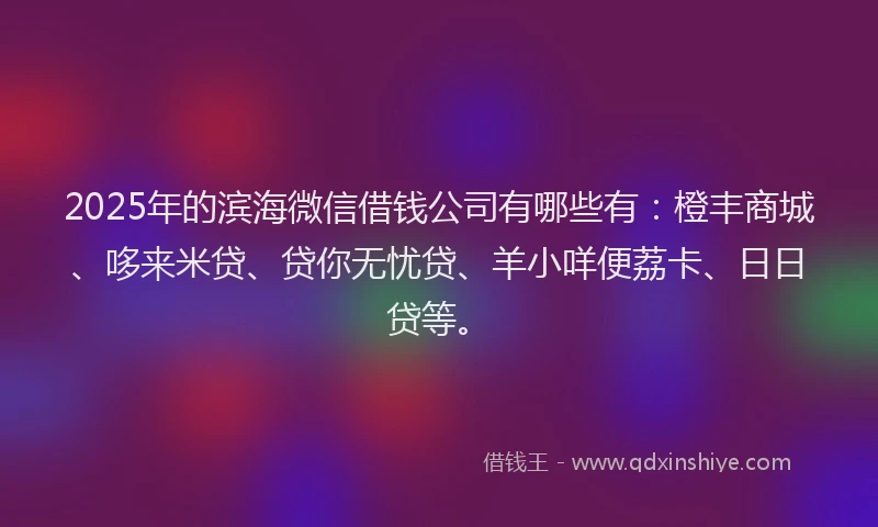 2025年的滨海微信借钱公司有哪些有：橙丰商城、哆来米贷、贷你无忧贷、羊小咩便荔卡、日日贷等。