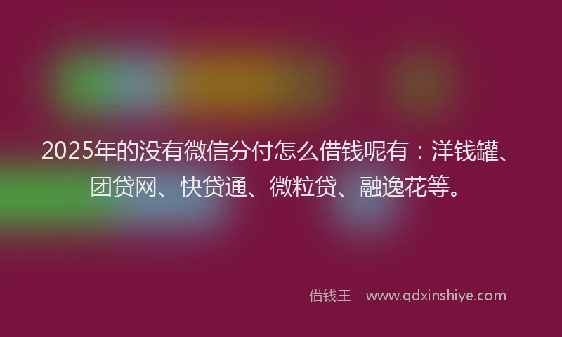 2025年的没有微信分付怎么借钱呢有：洋钱罐、团贷网、快贷通、微粒贷、融逸花等。