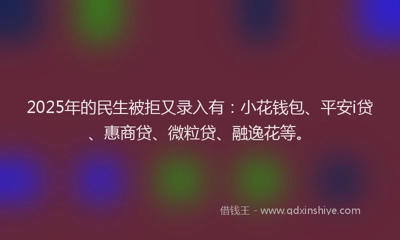 2025年的民生被拒又录入有：小花钱包、平安i贷、惠商贷、微粒贷、融逸花等。