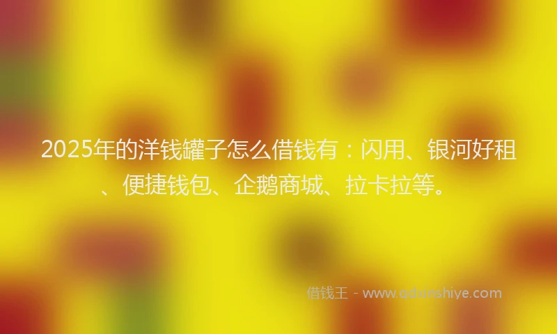 2025年的洋钱罐子怎么借钱有：闪用、银河好租、便捷钱包、企鹅商城、拉卡拉等。