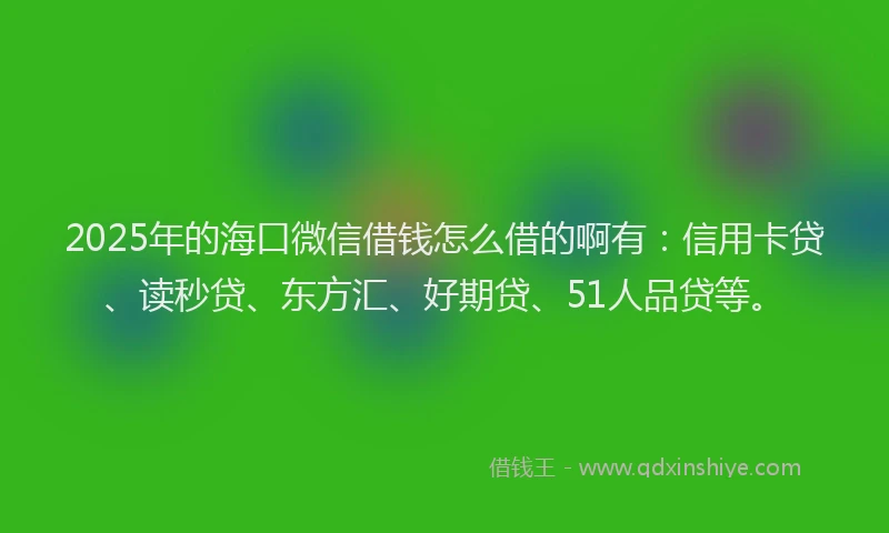 2025年的海口微信借钱怎么借的啊有：信用卡贷、读秒贷、东方汇、好期贷、51人品贷等。
