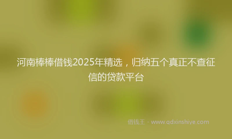 河南棒棒借钱2025年精选，归纳五个真正不查征信的贷款平台