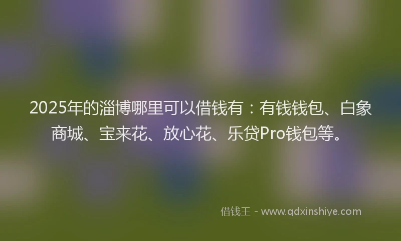 2025年的淄博哪里可以借钱有：有钱钱包、白象商城、宝来花、放心花、乐贷Pro钱包等。