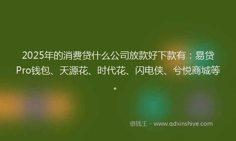 2025年的消费贷什么公司放款好下款有：易贷Pro钱包、天源花、时代花、闪电侠、兮悦商城等。