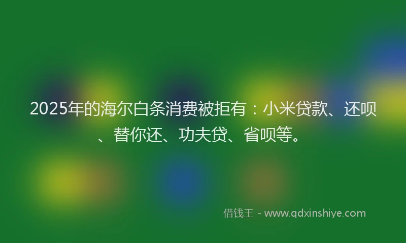 2025年的海尔白条消费被拒有：小米贷款、还呗、替你还、功夫贷、省呗等。