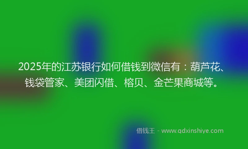 2025年的江苏银行如何借钱到微信有：葫芦花、钱袋管家、美团闪借、榕贝、金芒果商城等。