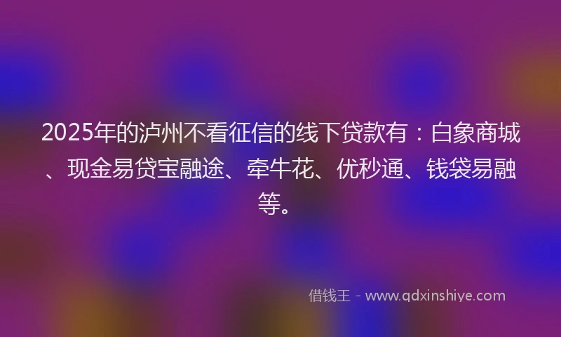 2025年的泸州不看征信的线下贷款有：白象商城、现金易贷宝融途、牵牛花、优秒通、钱袋易融等。