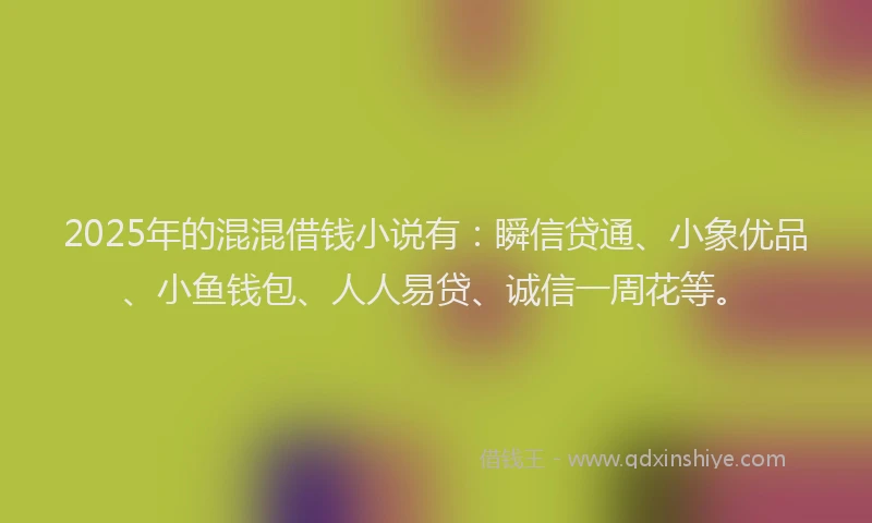 2025年的混混借钱小说有：瞬信贷通、小象优品、小鱼钱包、人人易贷、诚信一周花等。