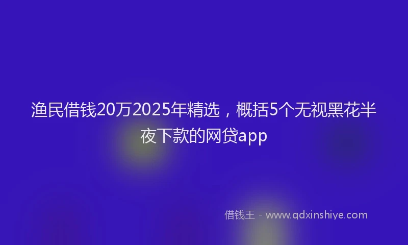 渔民借钱20万2025年精选，概括5个无视黑花半夜下款的网贷app