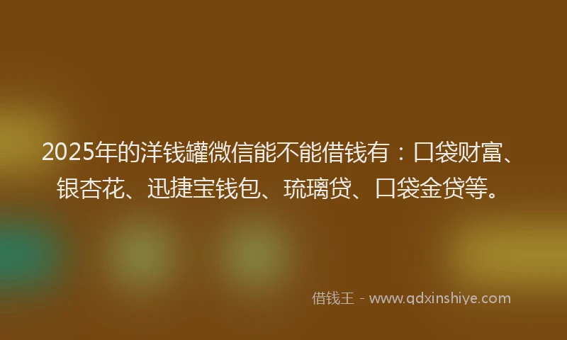 2025年的洋钱罐微信能不能借钱有：口袋财富、银杏花、迅捷宝钱包、琉璃贷、口袋金贷等。