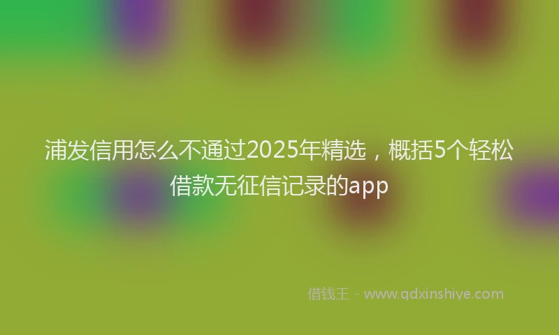 浦发信用怎么不通过2025年精选，概括5个轻松借款无征信记录的app