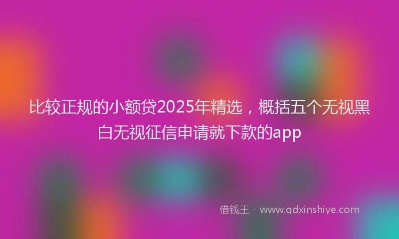 比较正规的小额贷2025年精选，概括五个无视黑白无视征信申请就下款的app