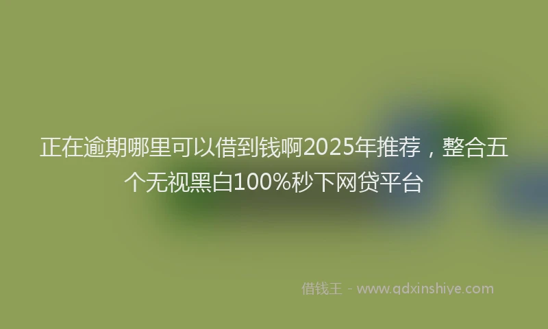 正在逾期哪里可以借到钱啊2025年推荐，整合五个无视黑白100%秒下网贷平台