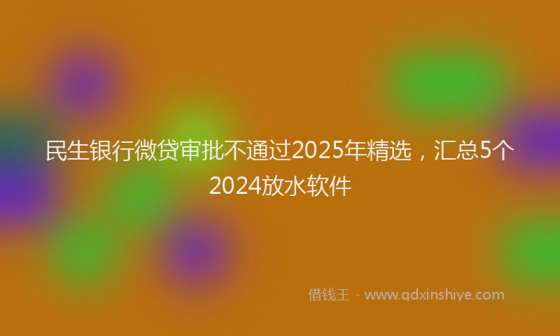 民生银行微贷审批不通过2025年精选，汇总5个2024放水软件