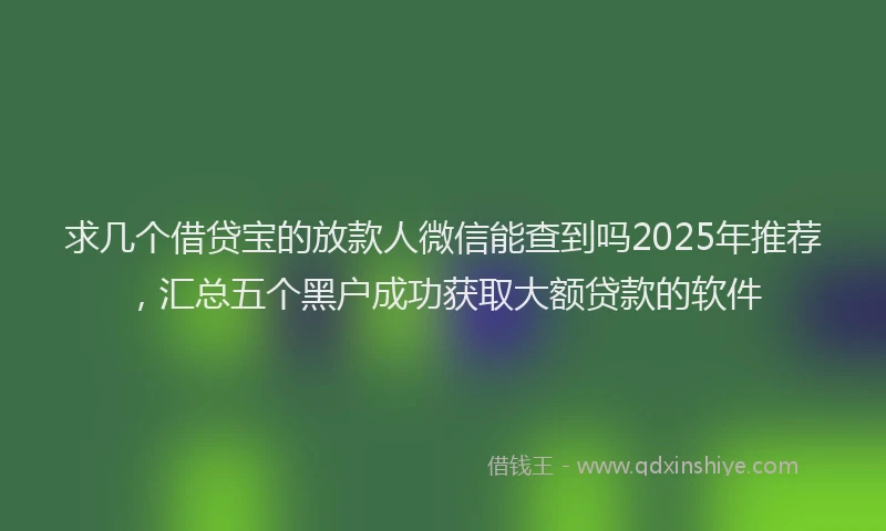 求几个借贷宝的放款人微信能查到吗2025年推荐，汇总五个黑户成功获取大额贷款的软件